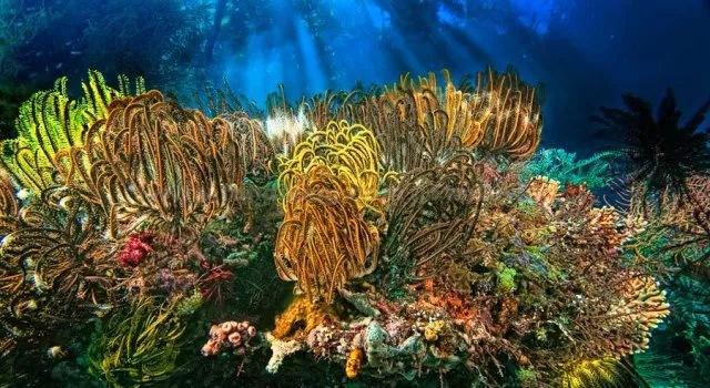 中辐院放射性湿废物微波桶内干燥技术实现首次应用